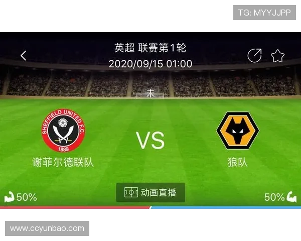 谢菲尔德星期三连遭两轮扣分 负10分深陷降级泥沼